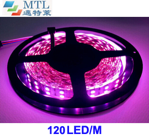 12V/24V Double-row 5050 LED strip 120LED/M